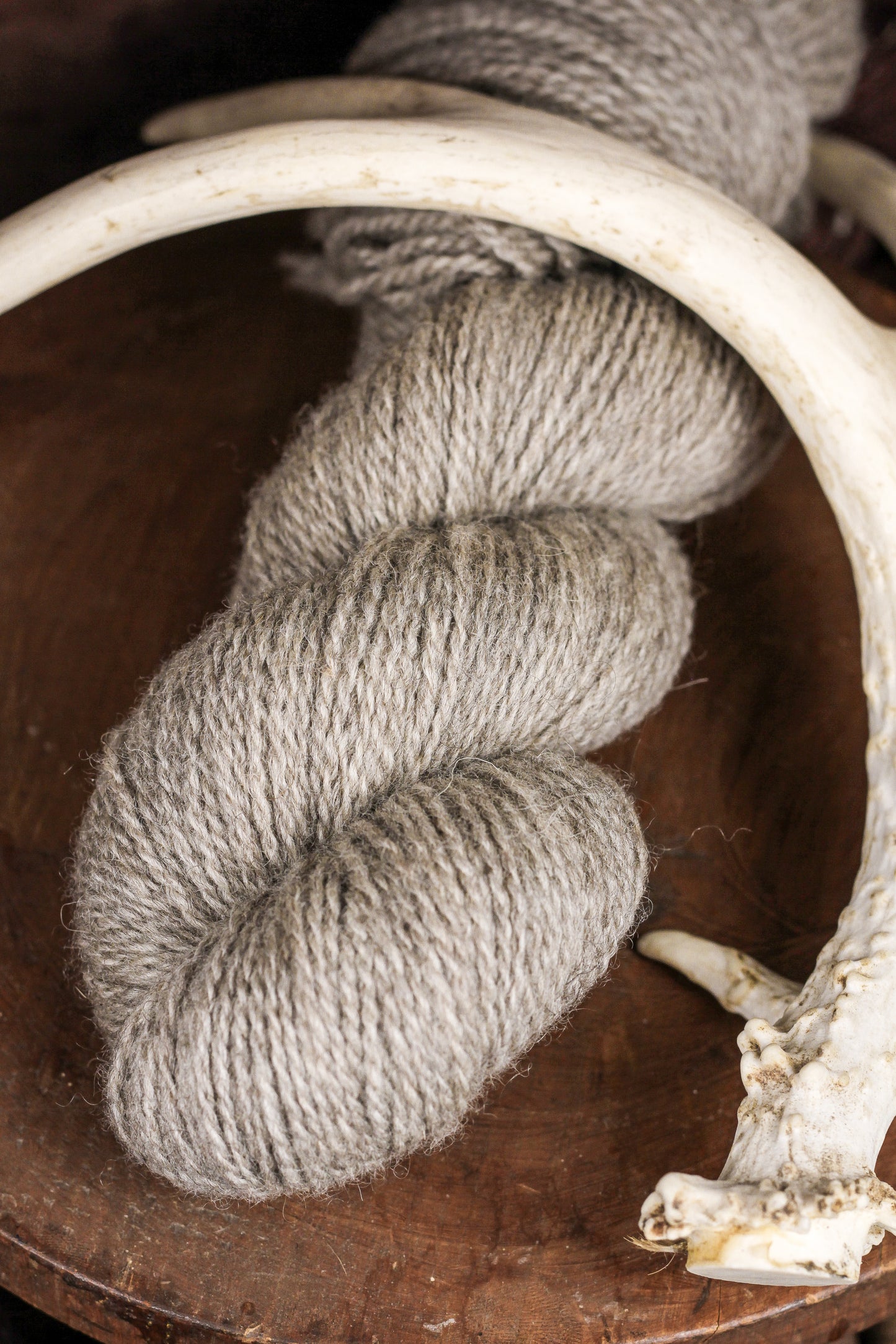 Antler Ivory
