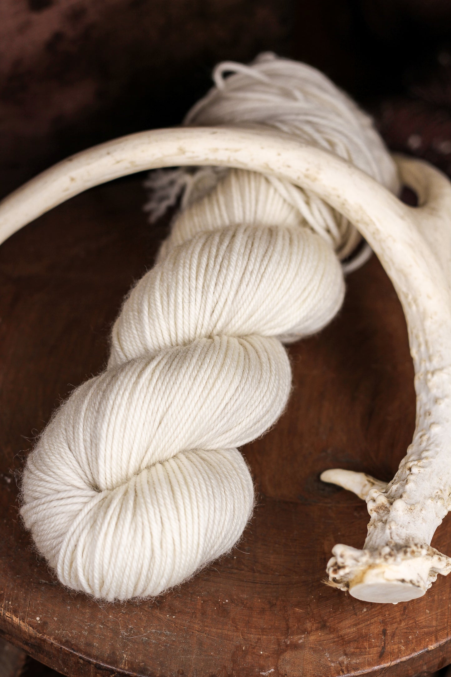 Antler Ivory