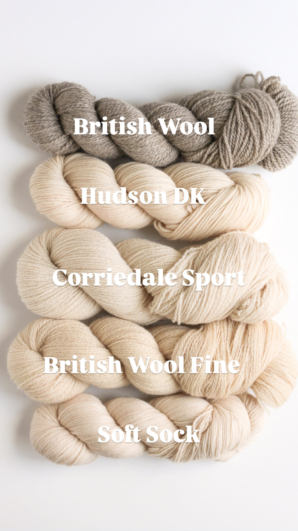 The Victorian Era Collection Pre-Order - Ice Cream