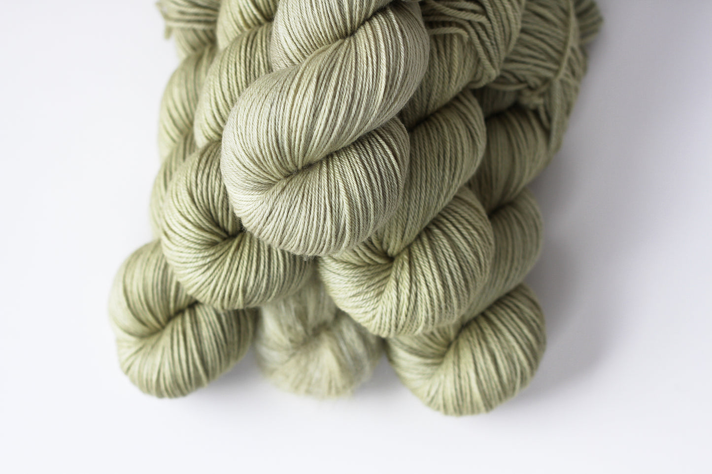 Wilde's Carnation - Authentic DK