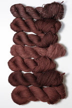 Bear Umber