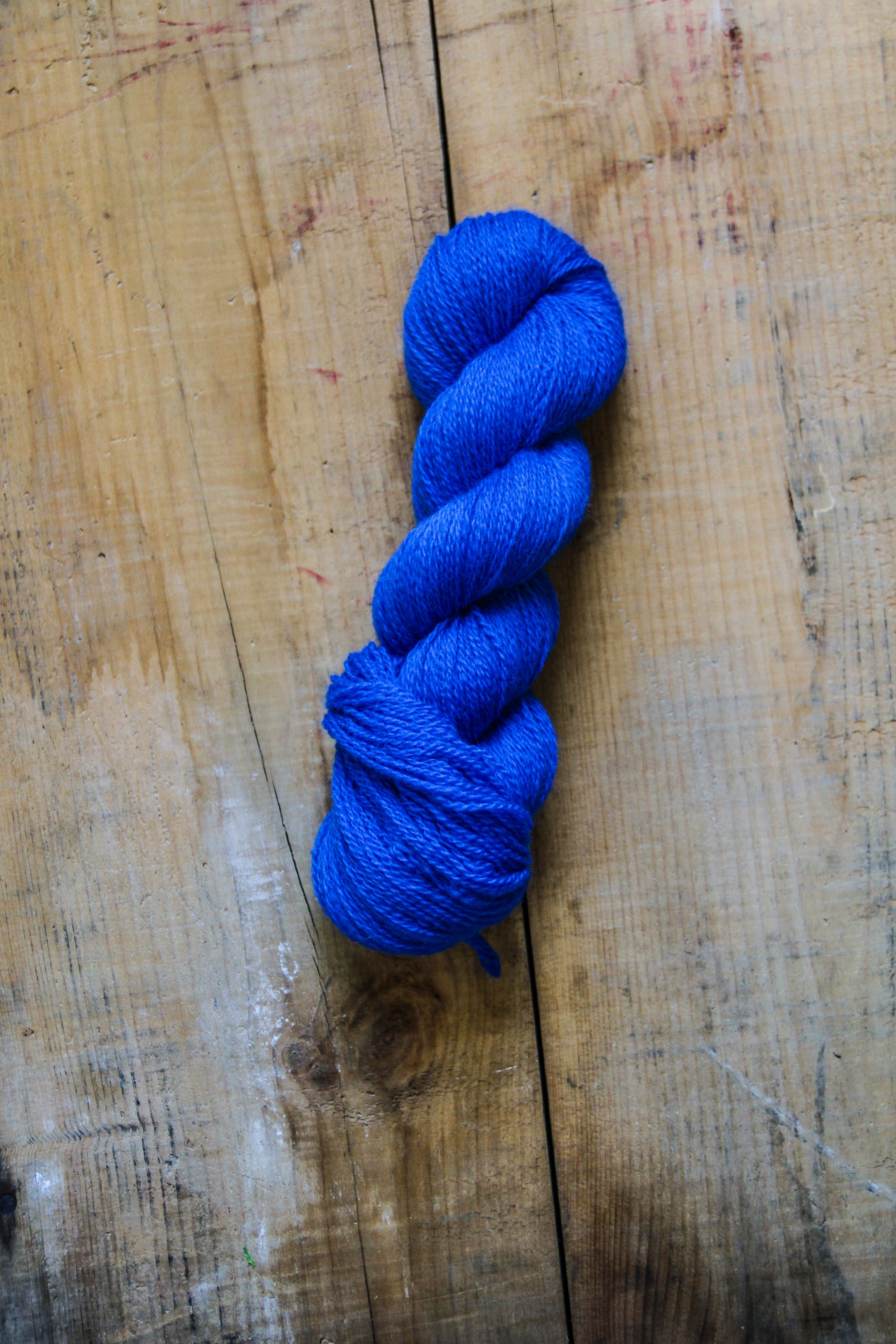 Boogie Oogie Blue